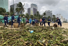 Thu gom rác sau mưa lũ ở bãi biển Nha Trang