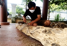 Để sản phẩm OCOP vươn xa