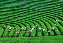 Tư tưởng Hồ Chí Minh về bảo vệ môi trường tự nhiên với phát triển kinh tế xanh và bền vững theo tinh thần Nghị quyết Đại hội XIII của Đảng