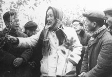 Lời hịch non sông
