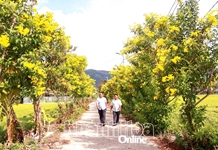 Hướng tới Đại hội đại biểu Đảng bộ tỉnh Khánh Hòa lần thứ I, nhiệm kỳ 2025 - 2030: Lan tỏa các phong trào thi đua yêu nước