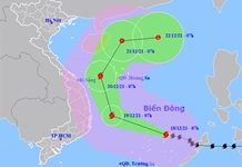 Không chủ quan trước bão số 9