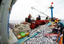 Kỳ 1: Độc đáo trận địa đánh bắt cá