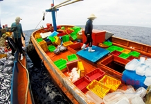 Kỳ 2: Đội quân "nhà giàn" cơ động