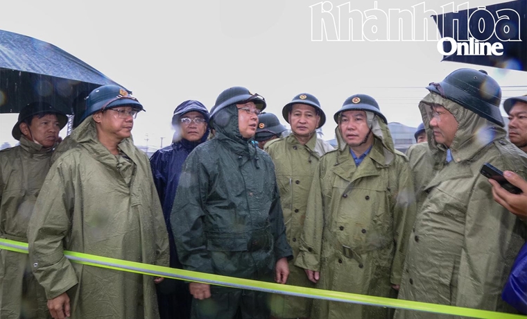 Phó Thủ tướng Chính phủ Hồ Quốc Dũng kiểm tra tình hình ngập lụt tại xã Diên Điền