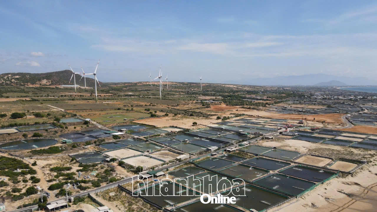 Phê duyệt dự án di dời, tái định cư gần 6.700 tỷ đồng cho Nhà máy Điện hạt nhân Ninh Thuận 1