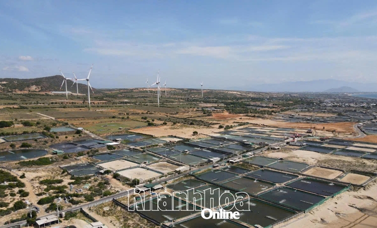 Phê duyệt dự án di dời, tái định cư gần 6.700 tỷ đồng cho Nhà máy Điện hạt nhân Ninh Thuận 1