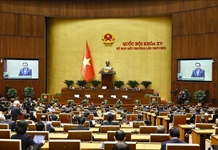 Nghị quyết về tổ chức các cơ quan của Quốc hội