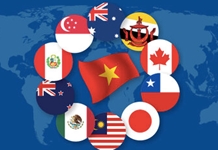 Tác động của tình hình kinh tế, chính trị toàn cầu đến chiến lược phát triển của Việt Nam trong bối cảnh mới