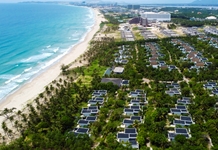 Đánh thức Cam Lâm