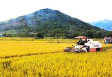 Sức sống mới trên quê hương Đồng khởi