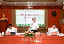 Hội nghị Tỉnh ủy chuyên đề