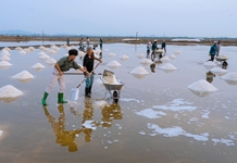 Về Nam Vân Phong trải nghiệm du lịch dân dã