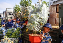 Cùng mùa xuân ra đảo