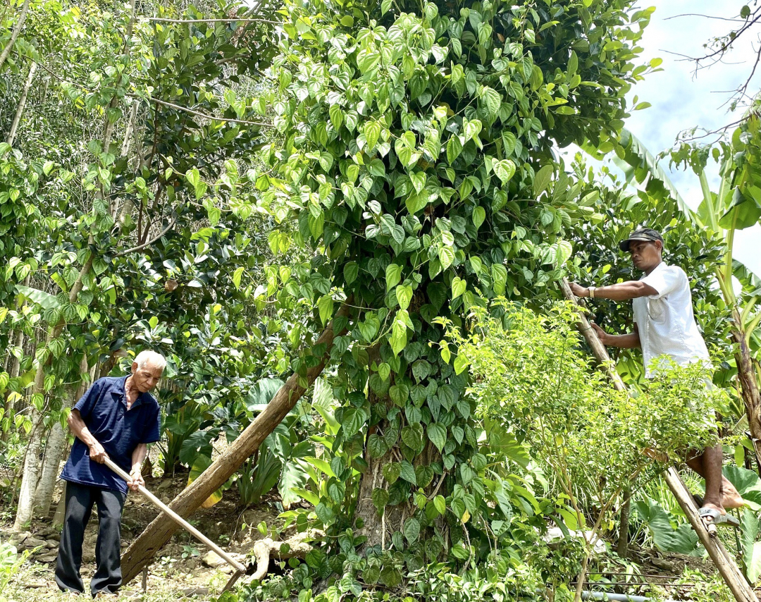 Những người “giữ lửa” bản làng 