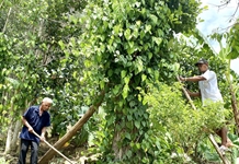 Những người “giữ lửa” bản làng