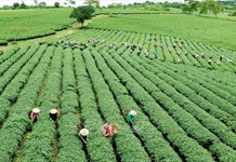 Mục tiêu và đặc điểm của mô hình xây dựng nền kinh tế độc lập, tự chủ gắn với hội nhập quốc tế trong kỷ nguyên số