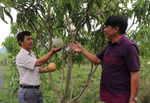 Cán bộ hội nông dân tận tụy, sáng tạo