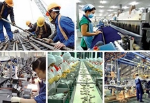 Chính phủ ban hành Nghị quyết hỗ trợ người lao động, người sử dụng lao động bị ảnh hưởng bởi COVID-19 từ Quỹ bảo hiểm thất nghiệp