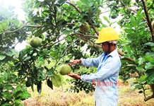 Kỳ 2: Thay đổi cách nghĩ, cách làm