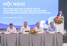 Tìm hướng gỡ khó tiêu thụ tôm hùm bông