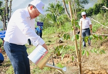 Khánh Hòa phát động "Tết trồng cây đời đời nhớ ơn Bác Hồ" Xuân Quý Mão 2023