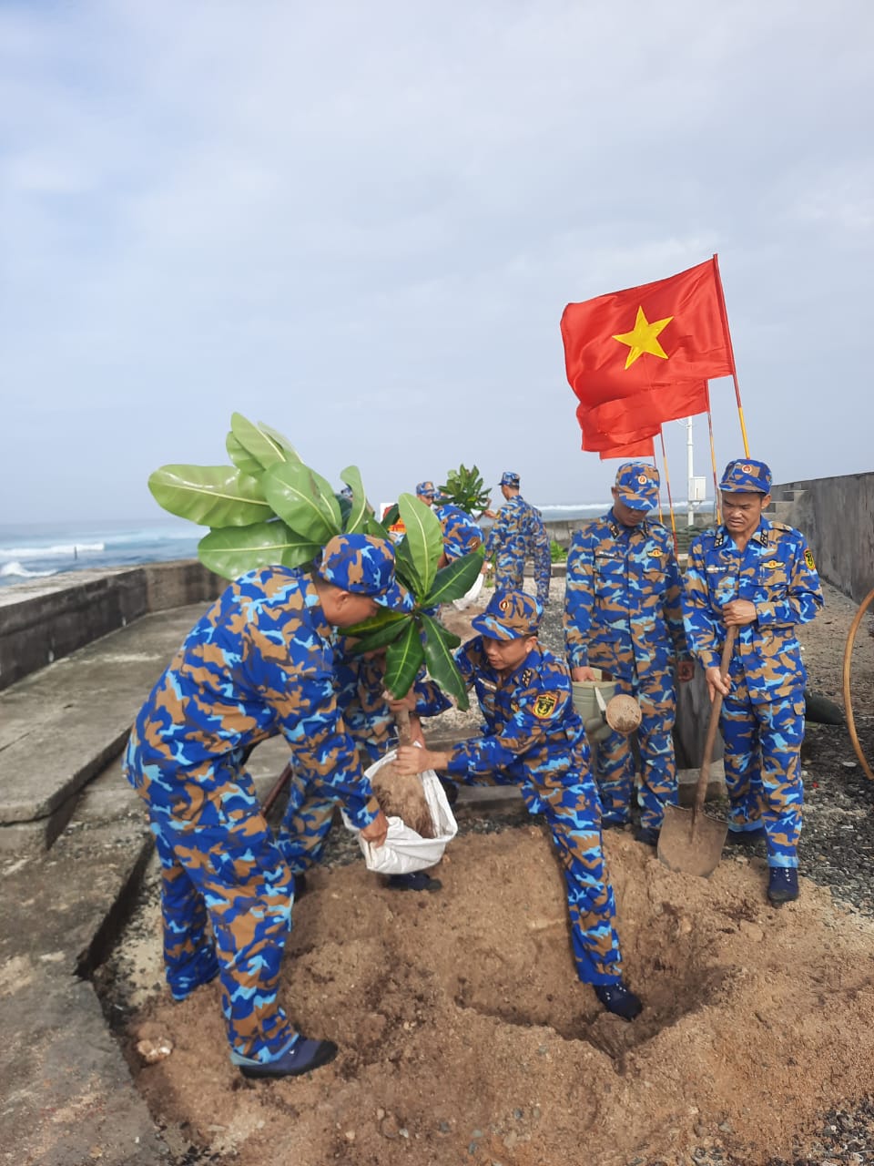 Huyện đảo Trường Sa hưởng ứng Tết trồng cây đầu năm mới