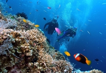 Khánh Hòa tập trung phát triển du lịch biển