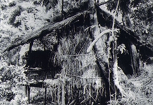 Chuyển hướng chỉ đạo chiến lược của Đảng qua Hội nghị Trung ương 8 (5/1941): Tầm nhìn, trí tuệ và bản lĩnh trong những thời khắc quyết định của lịch sử