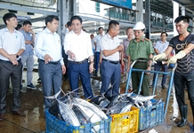 Kiểm tra công tác ứng phó bão số 4 tại TP. Nha Trang