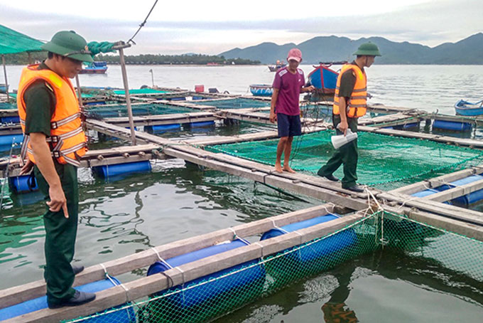Không để người dân trở lại lồng bè khi có bão và hoàn lưu do bão số 4