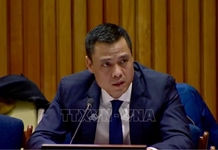 Dấu ấn Việt Nam tại các diễn đàn đa phương