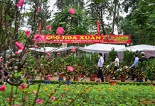 Vui đón Tết bình an