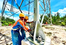 Các dự án truyền tải điện: Tăng tốc thi công
