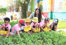 Cô giáo mầm non hết lòng vì học sinh