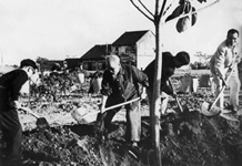 Từ tầm nhìn của Bác đến hành trình vì một Việt Nam xanh