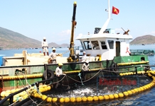 Kỳ 2: Nuôi biển xa bờ thời công nghệ