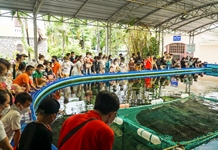 8 tháng, doanh thu du lịch đạt gần 9.540 tỷ đồng
