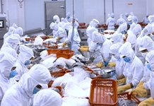 Họp báo công bố số liệu thống kê kinh tế - xã hội năm 2021