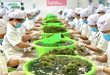 Khánh Hòa tăng cường bảo đảm an ninh lương thực gắn với phát triển bền vững