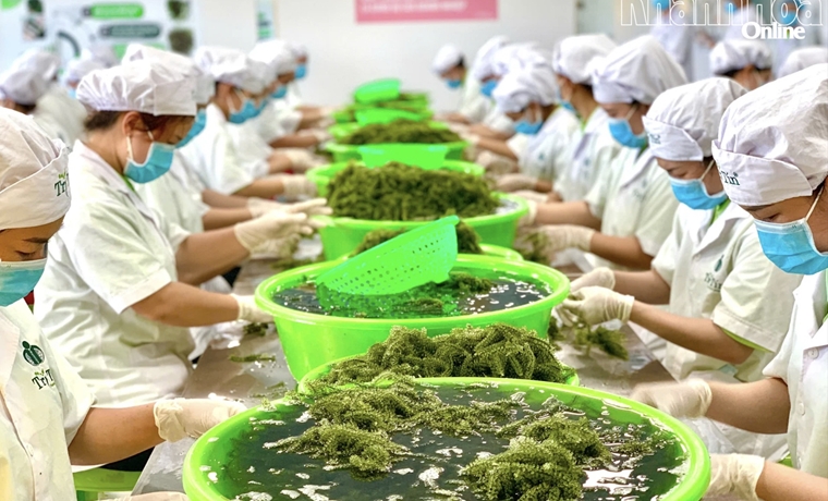 Khánh Hòa tăng cường bảo đảm an ninh lương thực gắn với phát triển bền vững